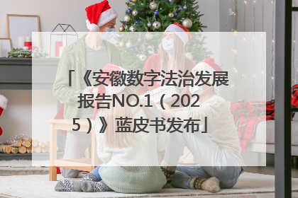 《安徽数字法治发展报告NO.1（2025）》蓝皮书发布