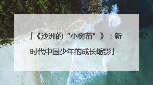 《沙洲的“小树苗”》：新时代中国少年的成长缩影