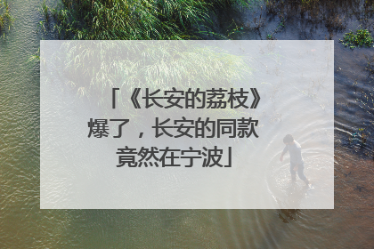 《长安的荔枝》爆了，长安的同款竟然在宁波