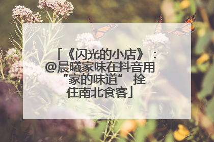 《闪光的小店》：@晨曦家味在抖音用 “家的味道” 拴住南北食客