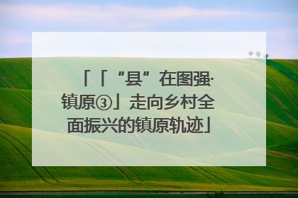 「“县”在图强·镇原③」走向乡村全面振兴的镇原轨迹