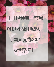 「世预赛」客场0比1不敌印尼队，国足无缘2026世界杯
