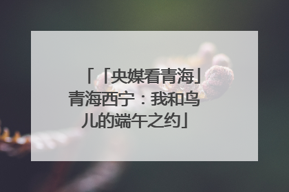 「央媒看青海」青海西宁：我和鸟儿的端午之约