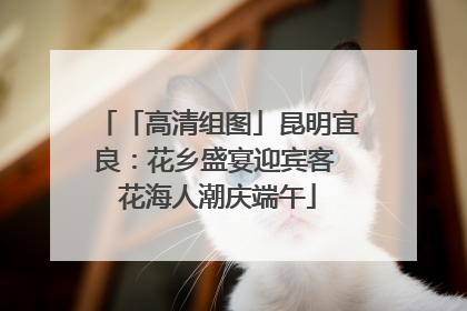 「高清组图」昆明宜良：花乡盛宴迎宾客 花海人潮庆端午