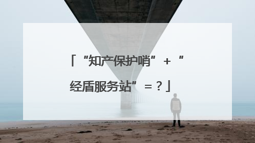 “知产保护哨”+“经盾服务站”=？