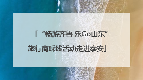 “畅游齐鲁 乐Go山东”旅行商踩线活动走进泰安