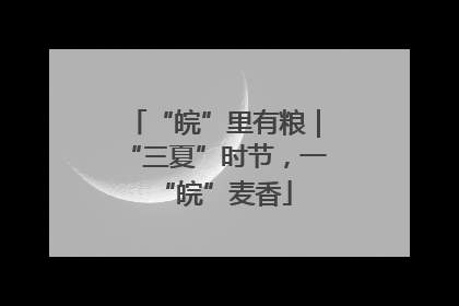 “皖”里有粮｜“三夏”时节，一“皖”麦香