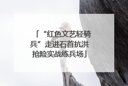 “红色文艺轻骑兵”走进石首抗洪抢险实战练兵场