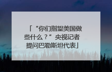 “你们指望美国做些什么？”央视记者提问巴勒斯坦代表