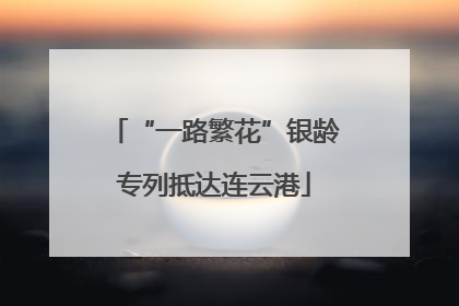 “一路繁花”银龄专列抵达连云港