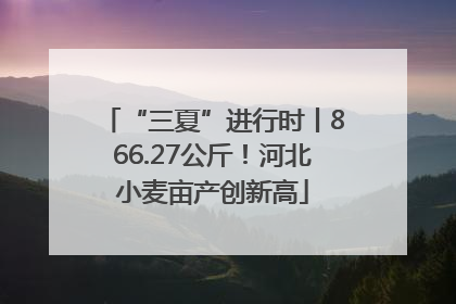 “三夏”进行时丨866.27公斤！河北小麦亩产创新高