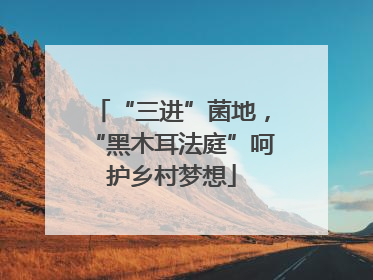 “三进”菌地，“黑木耳法庭”呵护乡村梦想