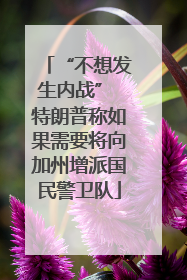 “不想发生内战” 特朗普称如果需要将向加州增派国民警卫队