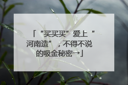 “买买买”爱上“河南造”，不得不说的吸金秘密→