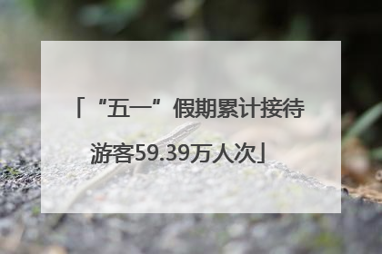 “五一”假期累计接待游客59.39万人次
