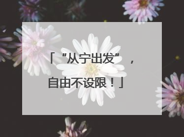 “从宁出发”，自由不设限！