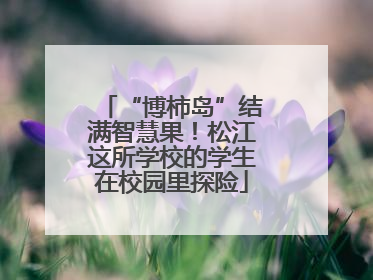 “博柿岛”结满智慧果！松江这所学校的学生在校园里探险