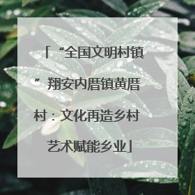 “全国文明村镇”翔安内厝镇黄厝村：文化再造乡村 艺术赋能乡业