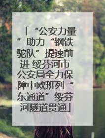 “公安力量”助力“钢铁驼队”提速前进 绥芬河市公安局全力保障中欧班列“东通道”绥芬河隧道贯通