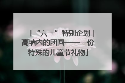 “六一”特别企划｜高墙内的团圆——一份特殊的儿童节礼物