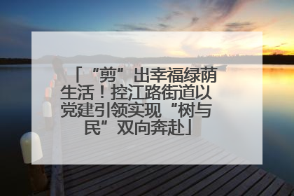 “剪”出幸福绿荫生活！控江路街道以党建引领实现“树与民”双向奔赴
