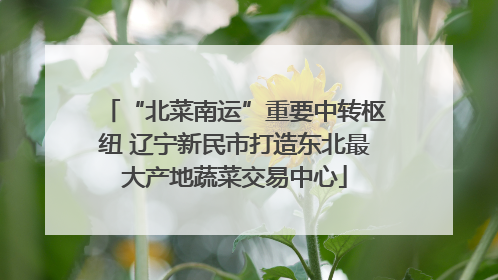 “北菜南运”重要中转枢纽 辽宁新民市打造东北最大产地蔬菜交易中心
