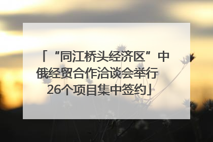 “同江桥头经济区”中俄经贸合作洽谈会举行 26个项目集中签约