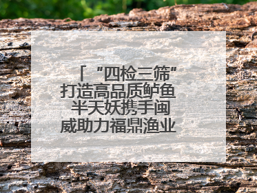 “四检三筛”打造高品质鲈鱼 半天妖携手闽威助力福鼎渔业实现产业升级