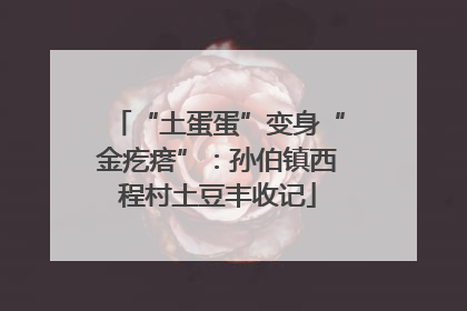 “土蛋蛋”变身“金疙瘩”：孙伯镇西程村土豆丰收记