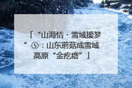 “山海情・雪域援梦”⑤：山东蘑菇成雪域高原“金疙瘩”