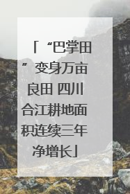 “巴掌田”变身万亩良田 四川合江耕地面积连续三年净增长