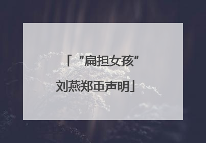 “扁担女孩”刘燕郑重声明