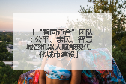 “智同道合”团队：公平、亲民、智慧城管机器人赋能现代化城市建设