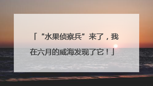 “水果侦察兵”来了，我在六月的威海发现了它！