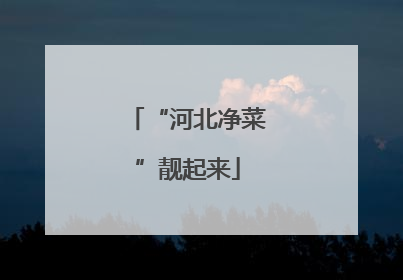 “河北净菜”靓起来
