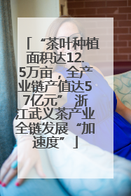 “茶叶种植面积达12.5万亩，全产业链产值达57亿元” 浙江武义茶产业全链发展“加速度”