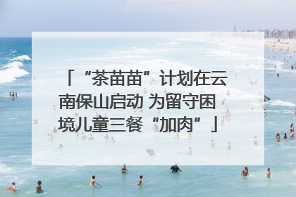 “茶苗苗”计划在云南保山启动 为留守困境儿童三餐“加肉”