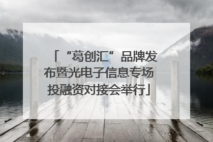 “葛创汇”品牌发布暨光电子信息专场投融资对接会举行