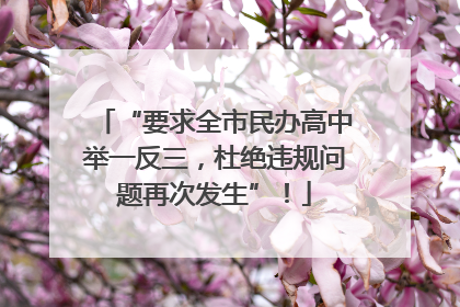 “要求全市民办高中举一反三，杜绝违规问题再次发生”！