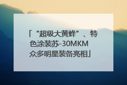 “超级大黄蜂”、特色涂装苏-30MKM 众多明星装备亮相