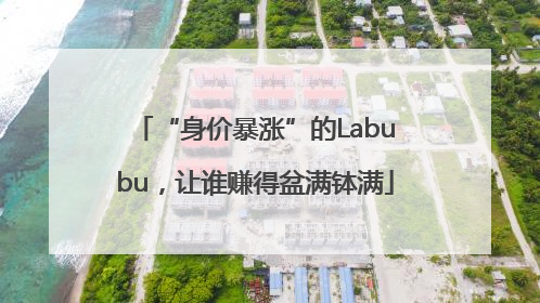 “身价暴涨”的Labubu，让谁赚得盆满钵满