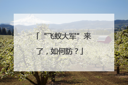 “飞蚁大军”来了，如何防？