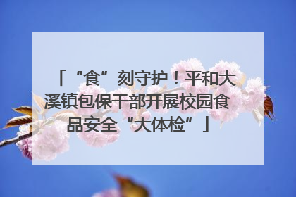 “食”刻守护！平和大溪镇包保干部开展校园食品安全“大体检”