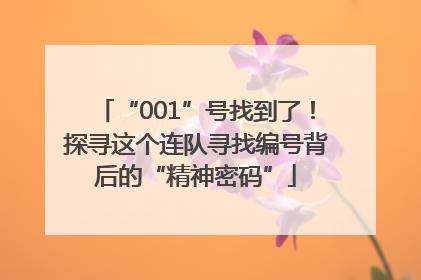 “001”号找到了！探寻这个连队寻找编号背后的“精神密码”