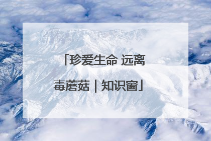 珍爱生命 远离毒蘑菇｜知识窗