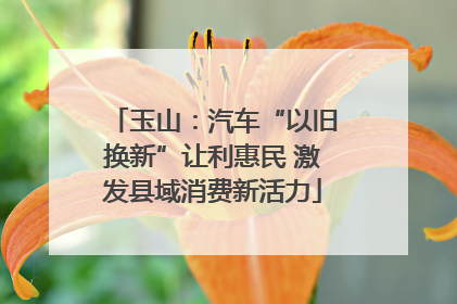 玉山：汽车“以旧换新”让利惠民 激发县域消费新活力