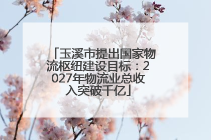 玉溪市提出国家物流枢纽建设目标：2027年物流业总收入突破千亿