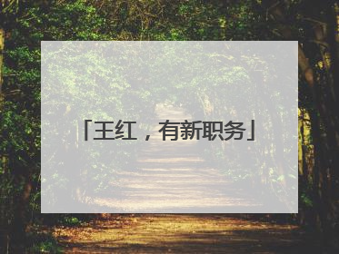 王红，有新职务
