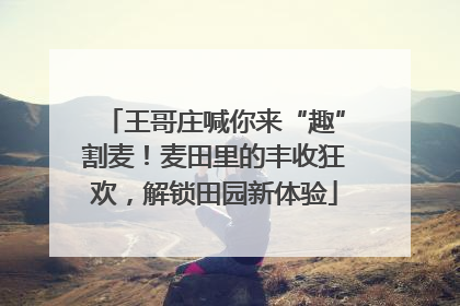 王哥庄喊你来“趣”割麦！麦田里的丰收狂欢，解锁田园新体验