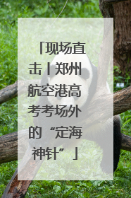 现场直击丨郑州航空港高考考场外的“定海神针”